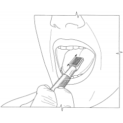 ARK Probe Tip końcówka do wibratora logopedycznego, gryzak - miękka