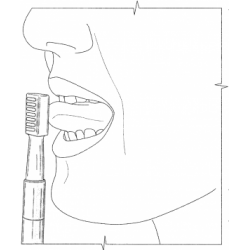 ARK Starter Kit: Wibrator logopeduczny Z-Vibe + 4 nasadki + 2 gryzaki + GRATIS końcówka Lip block